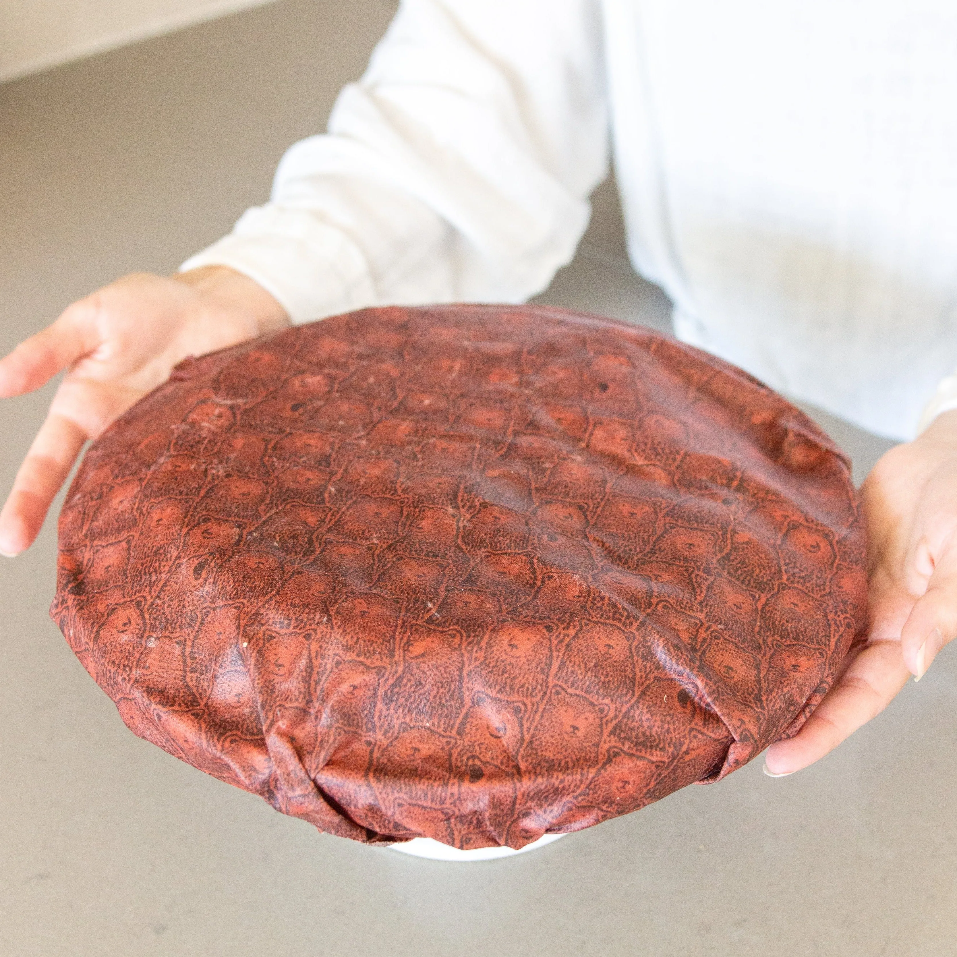 Bread Bag   Beeswax Wrap Set: Sienna Bears