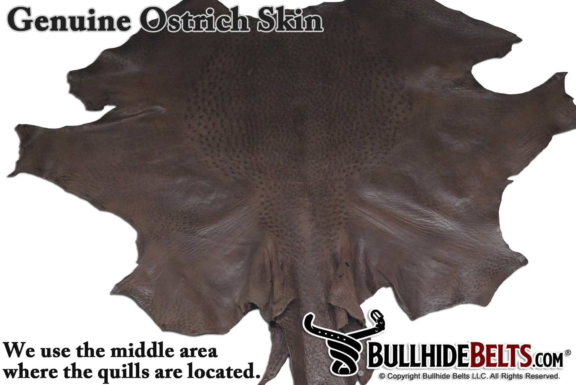 Brown Ostrich Money Clip Wallet With Credit Card Slots