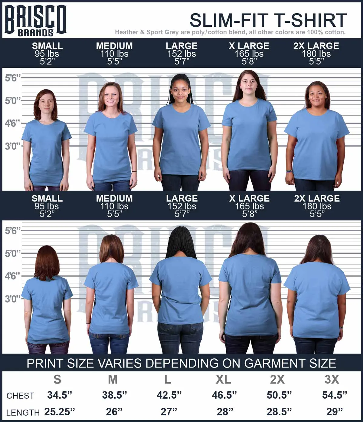 Golf Bag Ladies T-Shirt